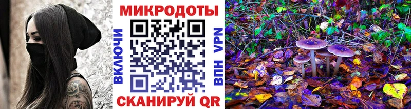 Псилоцибиновые грибы Cubensis  купить наркоту  Билибино 